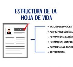 Formato hoja de vida