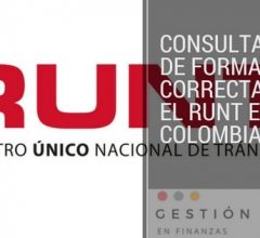 Consulta Runt